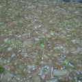 リズリズリズム's cooksnap of when they made お家で簡単！もんじゃ焼き.
