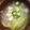 クックE3B3B7☆'s cooksnap of when they made ☆ほっこり長芋のスープ☆.