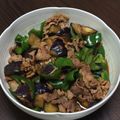 kat653's cooksnap of when they made 美味しい！なすとピーマンの味噌炒め.
