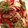 クックGFY8CA☆'s cooksnap of when they made オイスターソース☆野菜炒め.
