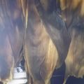 クックZV4IIE☆'s cooksnap of when they made 焼きとうもろこし.