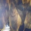 クックZV4IIE☆'s cooksnap of when they made 焼きとうもろこし.