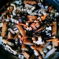 タイニー☆'s cooksnap of when they made 大好き★ちくわぶ入りひじきの煮物.