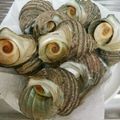 ◆あゆな◆'s cooksnap of when they made サザエの壺・茹で　by千葉in九十九里.