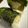 なーなちゃん's cooksnap of when they made 切り餅レンジで1分★海苔巻きチーズ.