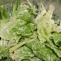 かめのたろう's cooksnap of when they made 超簡単！レタスの和風マヨサラダ.