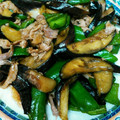 09mik's cooksnap of when they made なすとピーマンのオイスターソース炒め.