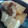 まるぽん07's cooksnap of when they made とろんとろんな♪絶品　豚の角煮.