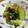neruco430's cooksnap of when they made 夏野菜たっぷりのきゅうりの浅漬け.