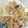 nana✩love's cooksnap of when they made 簡単☆ｷｬﾍﾞﾂとﾂﾅのﾊﾟｽﾀ.