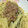 白レバー's cooksnap of when they made 高菜と納豆と梅のめんつゆマヨパスタ.