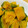 max4995's cooksnap of when they made かぼちゃの煮物.