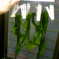 tamotan∞'s cooksnap of when they made おいしく戻そう♪塩蔵わかめ.