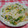shouko's cooksnap of when they made 鮭ちらし寿司.
