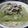 ちばたま's cooksnap of when they made フォー風？！あさりのにゅうめん.