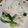 ぽぷりる's cooksnap of when they made ブロッコリーとコーンのクリーミーポテサラ.