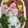 よこちよちこ's cooksnap of when they made ミッフィーちゃんの簡単キャラ弁.