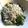 ぐーたらレシピ研究所's cooksnap of when they made ネギじゃこ麺つゆ.