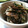 莉李ママ's cooksnap of when they made 牡蠣みたい♡舞茸のソース炒め♡.