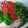 クック7RKE2H☆'s cooksnap of when they made 簡単！夏野菜の冷やし肉味噌うどん.