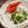 クックZ8J4H4☆'s cooksnap of when they made キャベツときゅうりの塩昆布和え.
