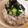 ＊nounours＊'s cooksnap of when they made 夏の混ぜご飯.