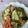 shouko's cooksnap of when they made 偽焼きそば.