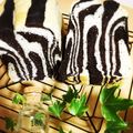 こはるママ☆'s cooksnap of when they made ゼブラパン？ストライプパン。.