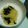 あいぱらりん's cooksnap of when they made そうめんかぼちゃの煮びたし.