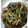 koushin115's cooksnap of when they made 空芯菜のオイスターソース炒め.