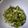 ジニー's cooksnap of when they made 夏野菜たっぷり♡ 山形のダシ.
