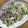 クックVIRD3V☆'s cooksnap of when they made ゴーヤとツナのサラダ.