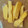 きっこ＠南西フランス's cooksnap of when they made しょうがの保存方法.