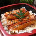 もりあん農園's cooksnap of when they made *疲れ&バテ解消☆酢飯でうな丼*.