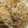 ＣＡＲＯＬ0309's cooksnap of when they made 簡単☆筍ご飯.