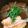 cookみぃ's cooksnap of when they made マグロ漬けとサーモン丼.