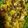 クックZV4IIE☆'s cooksnap of when they made 南瓜と野菜たっぷりサラダ.