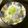 クックあこ's cooksnap of when they made 大根おろし 〜上品✿白だし仕上げ〜.