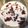 ★よーこちん★'s cooksnap of when they made 簡単♪レバーの下処理方法。.