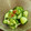 クックVOS7QT☆'s cooksnap of when they made 超簡単♡きゅうり&干し梅の白だし浅漬け！.
