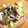 ほがら's cooksnap of when they made キャベツときのこの青海苔和え.