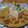 ダイナマイト漆黒's cooksnap of when they made たっぷりしらすとシソネギ冷奴.