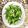 クック0NA630☆'s cooksnap of when they made 早っ！美味っ！オクラ塩炒め.