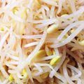ねじまきどり０１０３'s cooksnap of when they made もやしとジャガのシャキサラダ♪カレー風味.