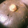xxyuccoxx's cooksnap of when they made カボチャを１個丸ごと下ごしらえ→5料理.