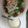 yuka6512's cooksnap of when they made ヨーグルトのにんにくドレッシング.