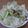 ALTOS's cooksnap of when they made しゃぶしゃぶやさんの塩昆布キャベツ.