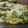 クックZV4IIE☆'s cooksnap of when they made エノキとピーマンのナンプラー炒め.