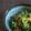 みがつくひと's cooksnap of when they made 茄子とピーマンのおかか炒め.