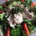 ﾌﾞﾚﾝﾀﾞ's cooksnap of when they made 豚しゃぶサラダ♬.
